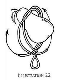 cock and ball bondage technique