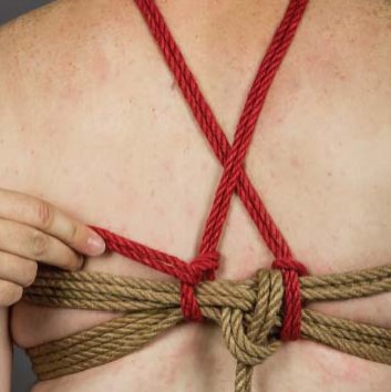 rope bondage big breast