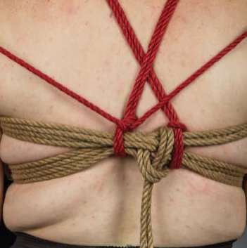 rope bondage big breast