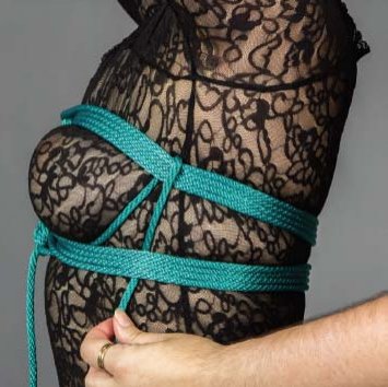 breast harness bondage