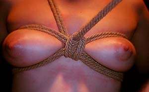 breast shibari bondage