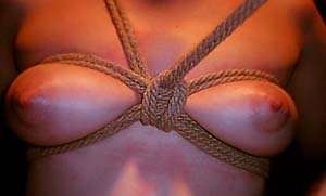 shibari bondage