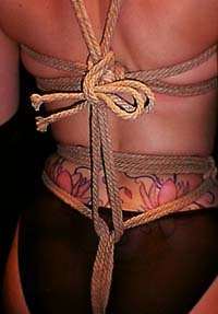 shibari bondage