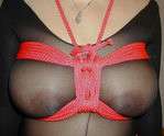 breast harness