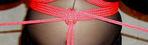 braided crotchrope Tie pictures