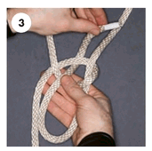 box knot