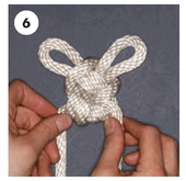 Rabbit Knot