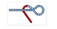 figure eight knot